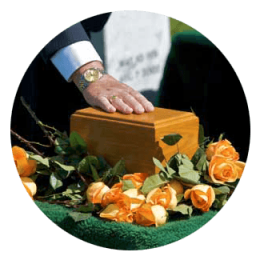 Cremation Services